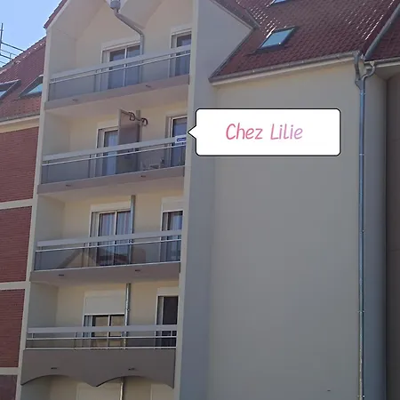 Chez Lilie, Cosy Classe 2 Etoiles De Stella Apartment *